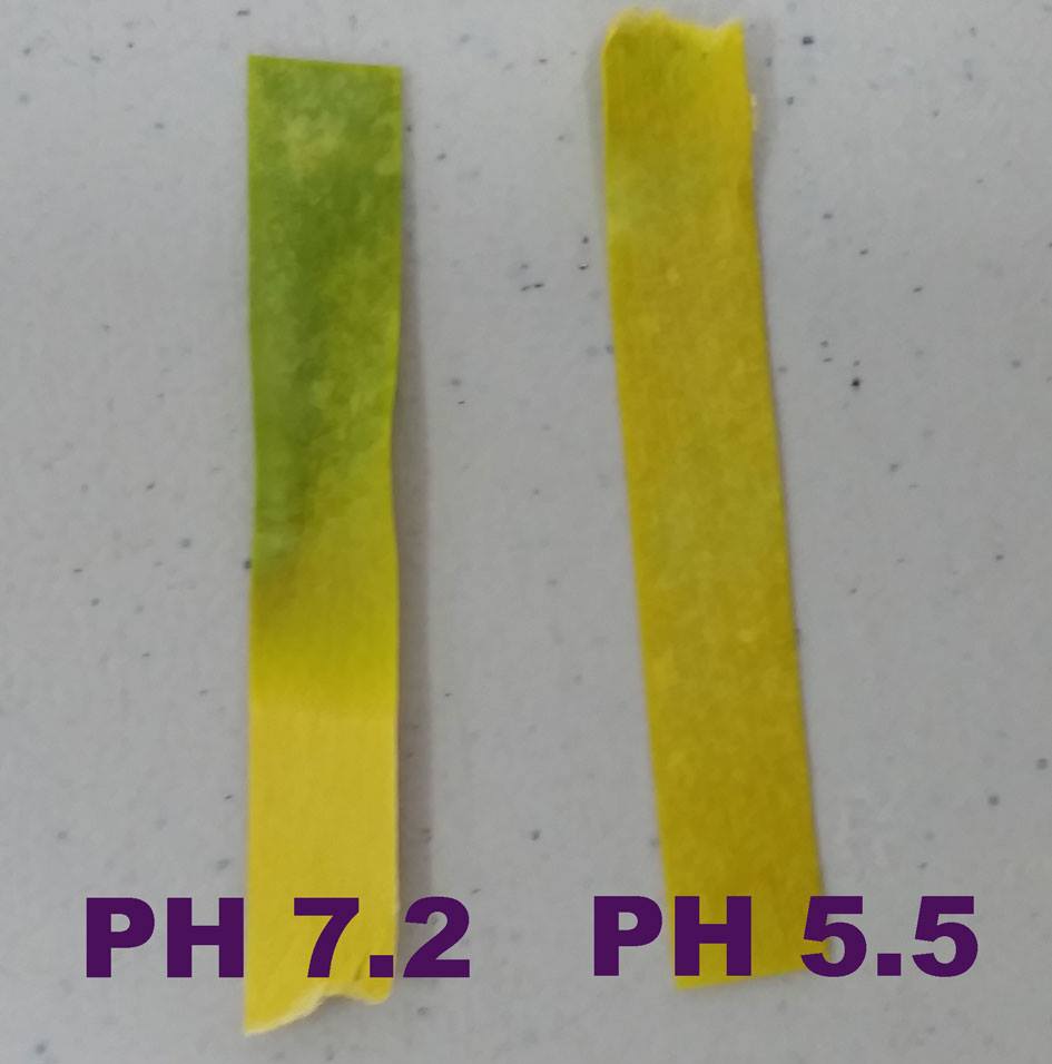 ph strip test saliva alkaline acid singapore personal trainer